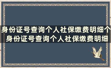 身份证号查询个人社保缴费明细个 身份证号查询个人社保缴费明细怎么查